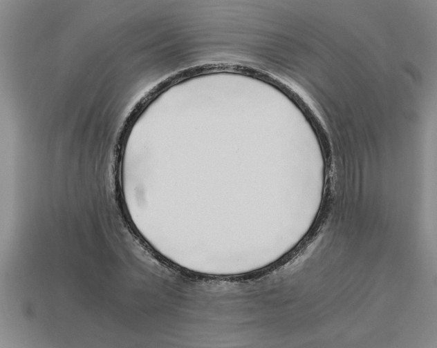 X0000112880783200910021352