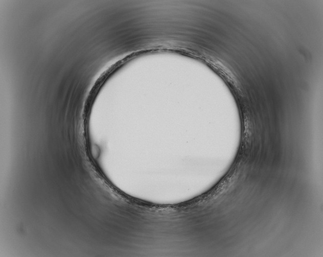 X0000112880784200910021352