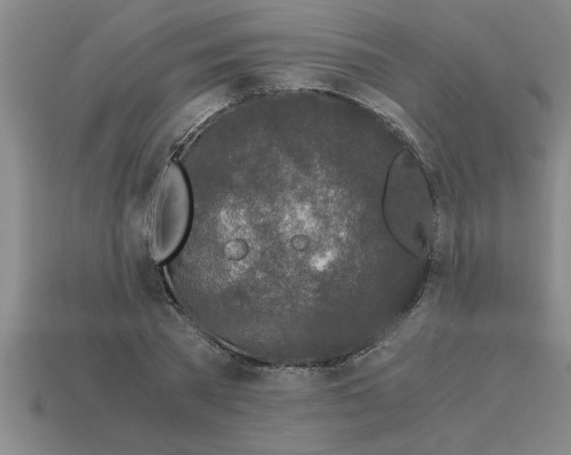 X0000112880785200910021352