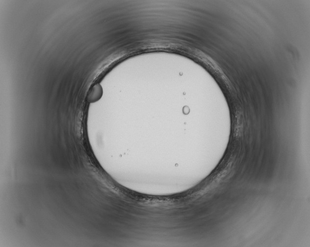 X0000112880786200910021352