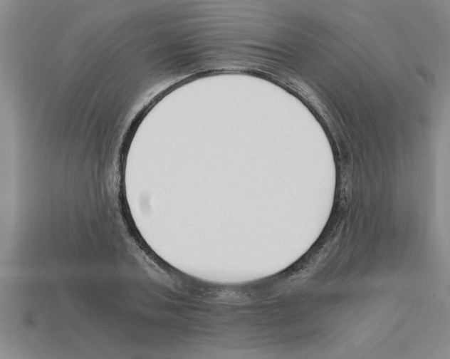 X0000112880787200910021352