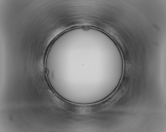 X0000112880789200910021352