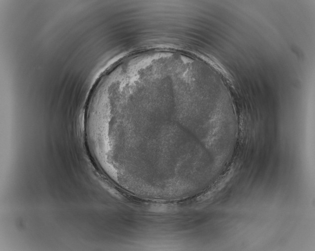 X0000112880790200910021352