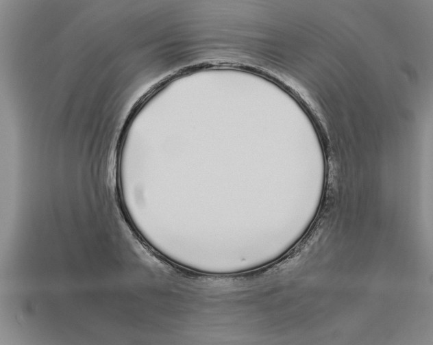 X0000112880791200910021352