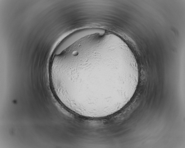 X0000112880792200910021352