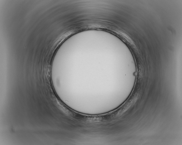 X0000112880793200910021352