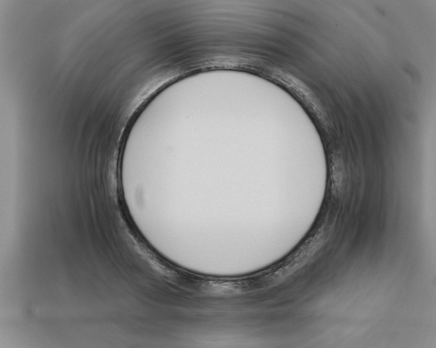 X0000112880794200910021352