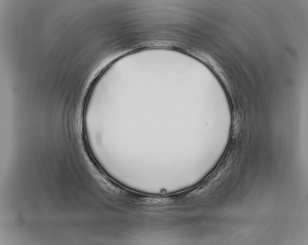 X0000112880795200910021352