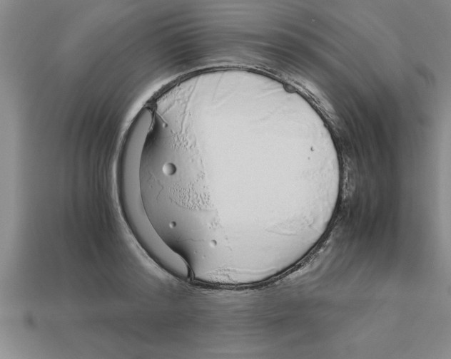 X0000112880796200910021352