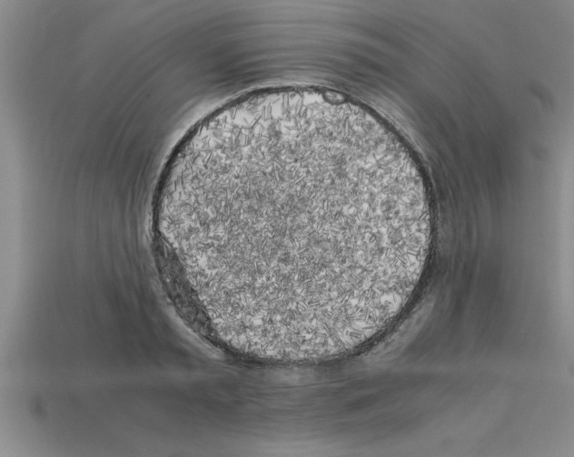 X0000112880797200910021352