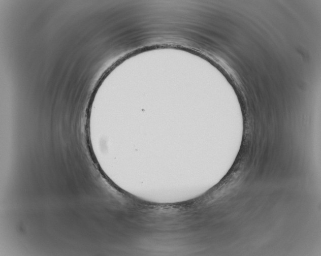 X0000112880799200910021352