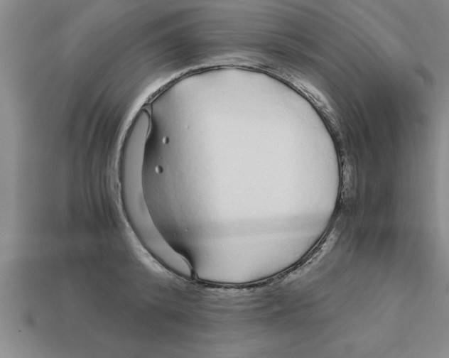 X0000112880800200910021352