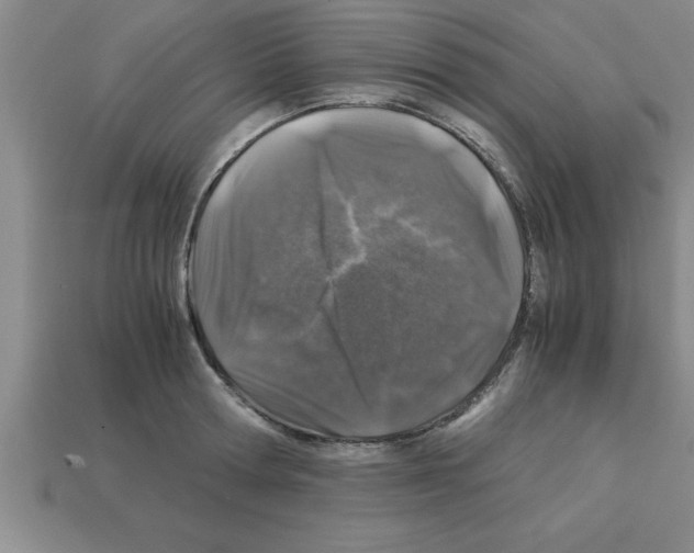 X0000112880802200910021352