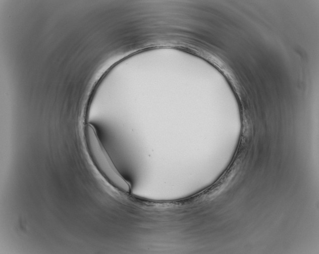 X0000112880803200910021352