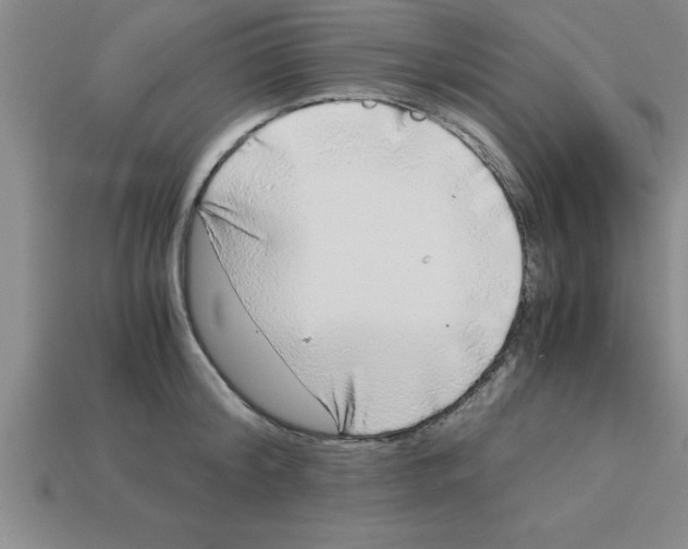 X0000112880804200910021352