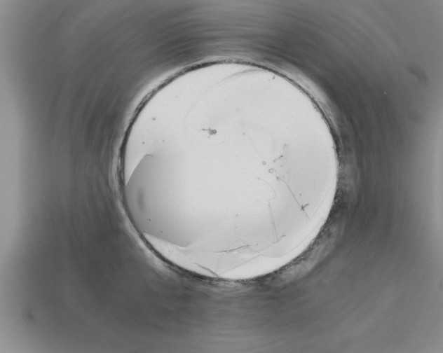 X0000112880807200910021352