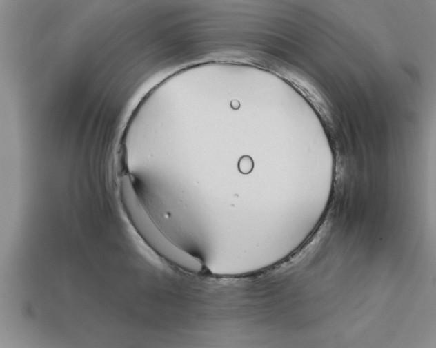 X0000112880808200910021352