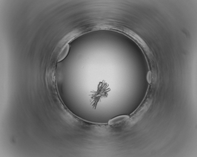 X0000112880809200910021352