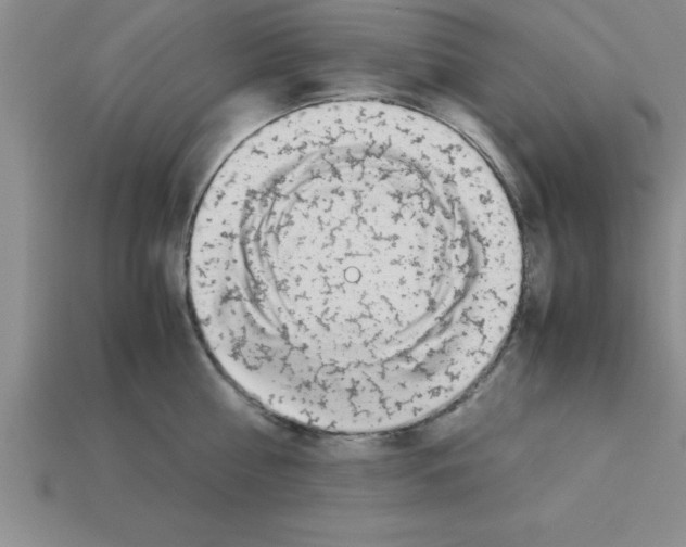 X0000112880810200910021352