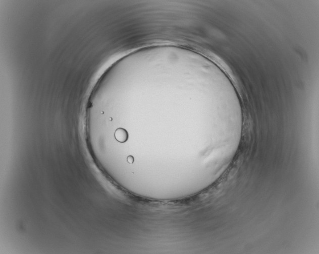 X0000112880811200910021352