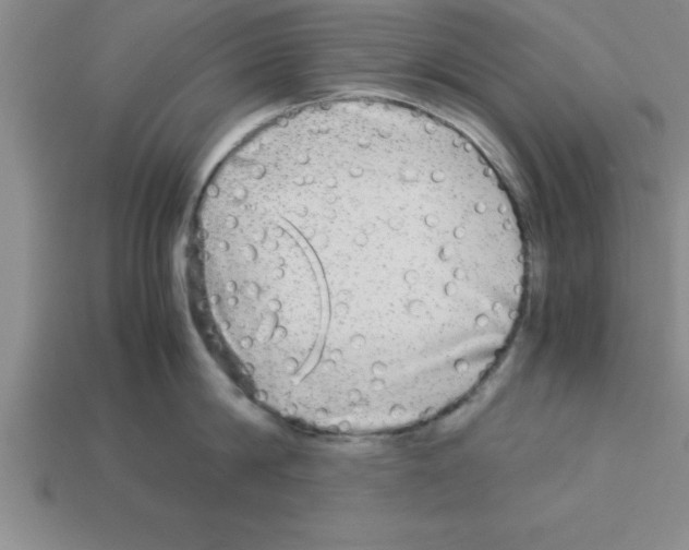 X0000112880814200910021352