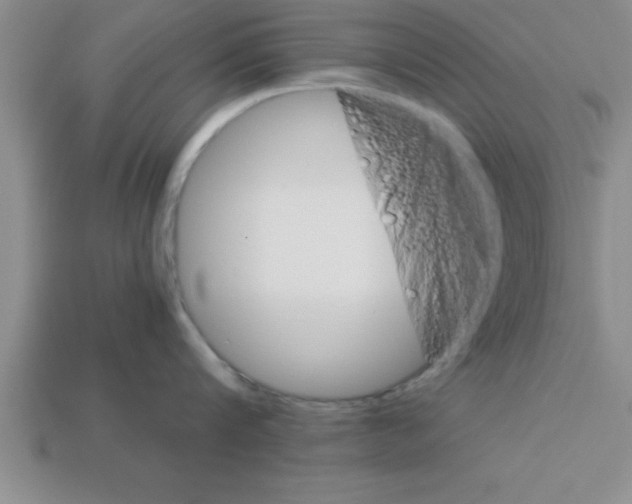 X0000112880816200910021352