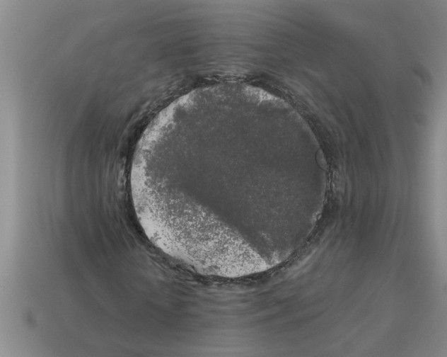 X0000112880818200910021351