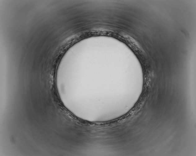 X0000112880821200910021351