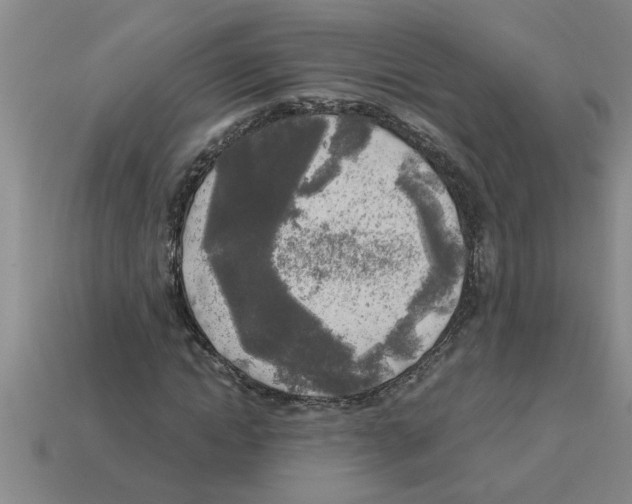 X0000112880822200910021351