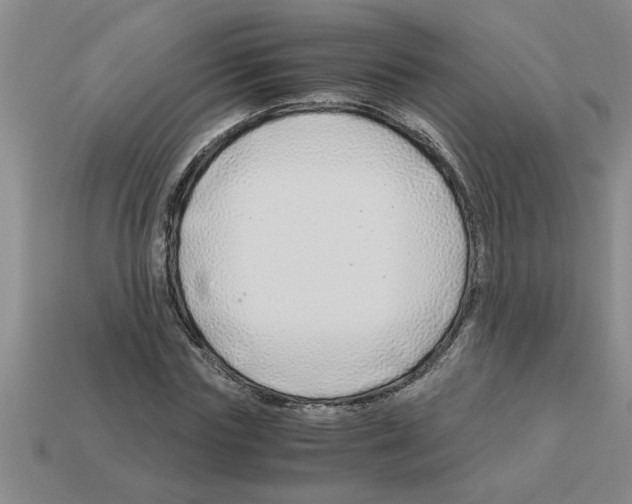 X0000112880827200910021351