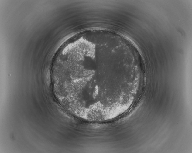 X0000112880829200910021351