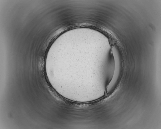 X0000112880833200910021351