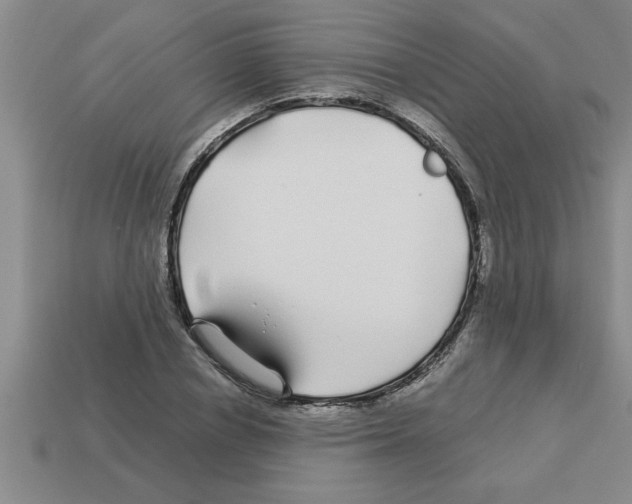 X0000112880834200910021351