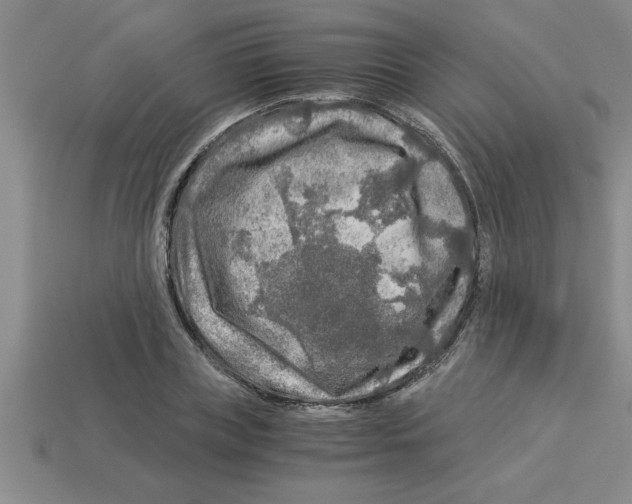 X0000112880835200910021351