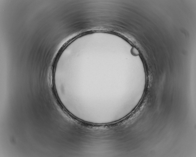 X0000112880838200910021351