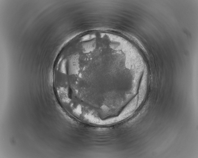 X0000112880839200910021351