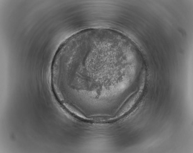 X0000112880840200910021351