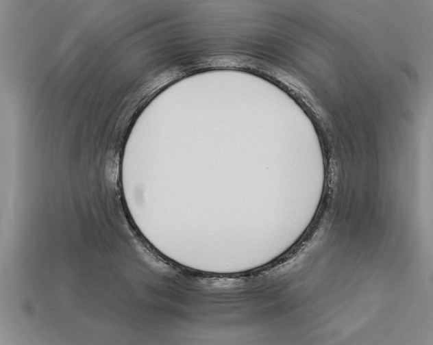 X0000112880841200910021351