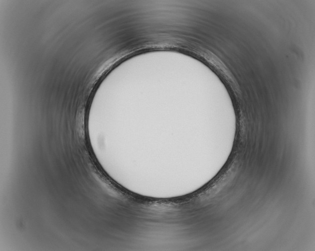 X0000112880842200910021351