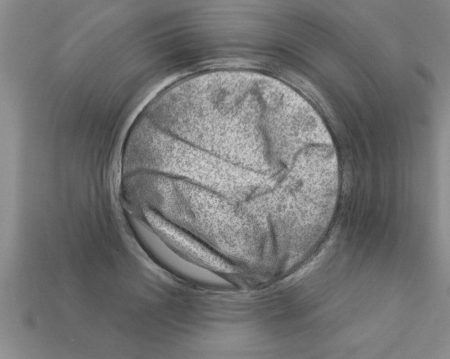 X0000112880844200910021351