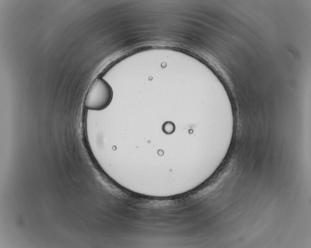 X0000112880845200910021351