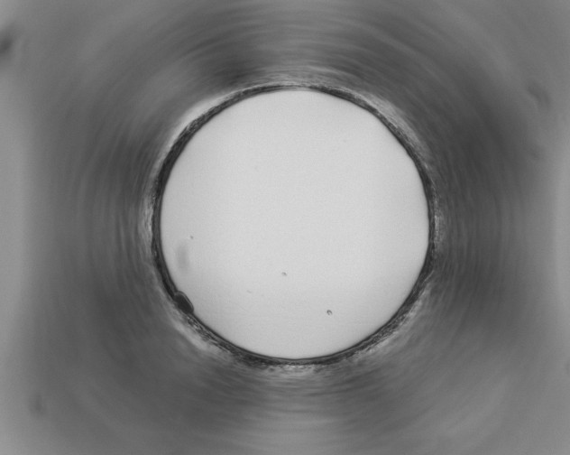 X0000112880846200910021351