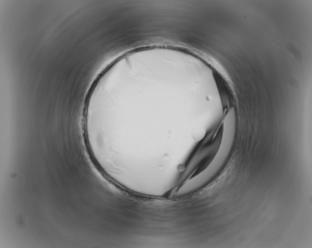 X0000112880847200910021352