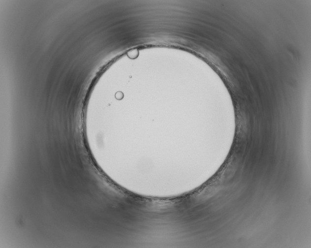 X0000112880848200910021352