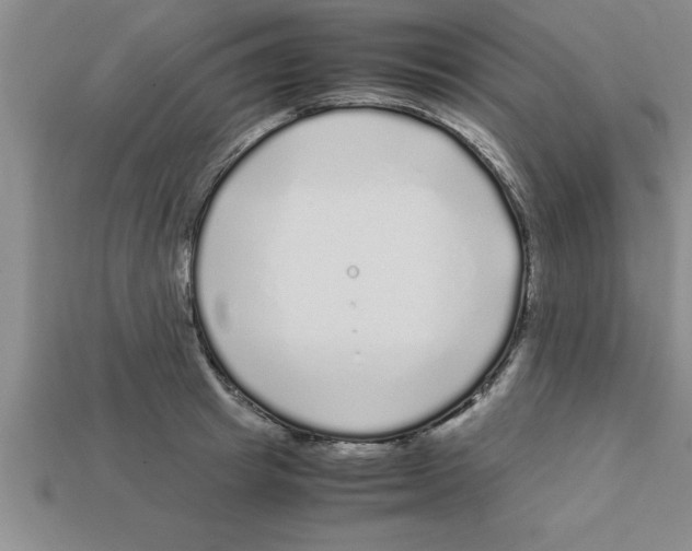 X0000112880849200910021352