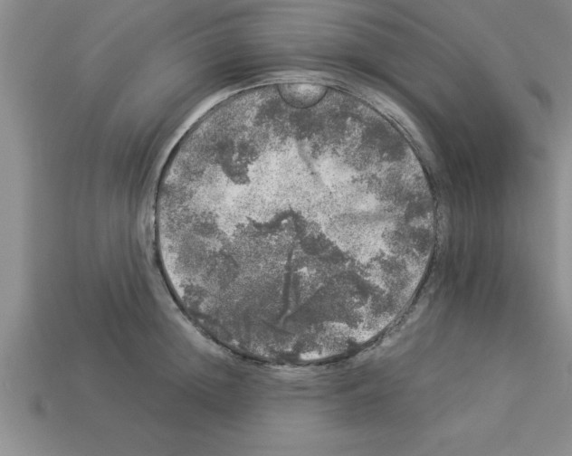 X0000112880852200910021352