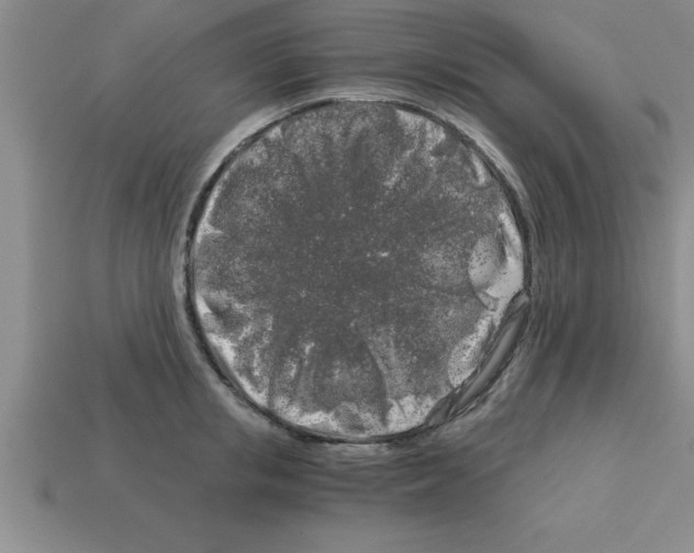 X0000112880853200910021352