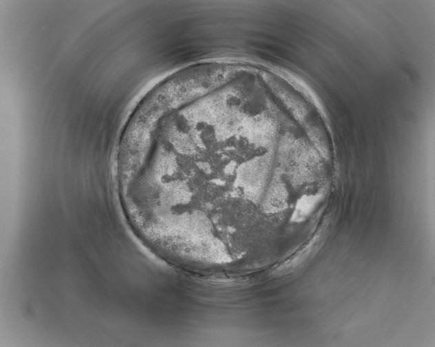 X0000112880855200910021352