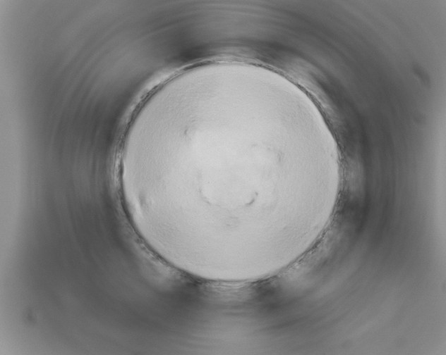 X0000112880856200910021352