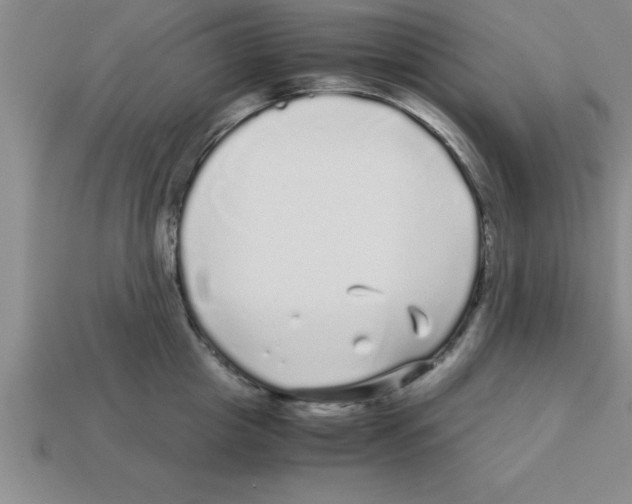 X0000112880857200910021352